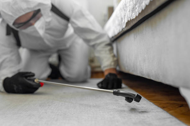 Professional Bed Bug Control technician working in St. Marys, WV
