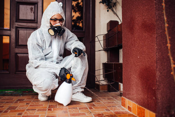 Reliable Bed Bug Control contractor in St. Marys, WV by Nex Pest Control