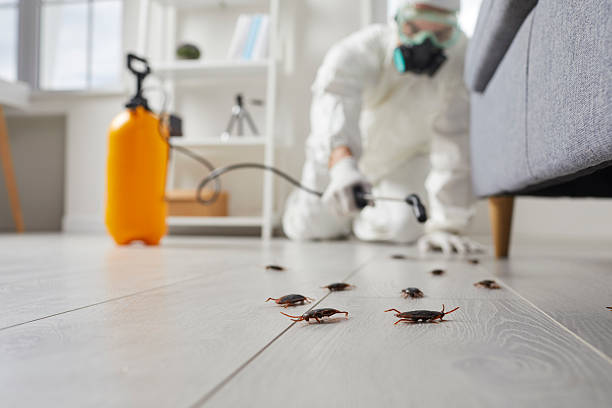 Trusted Mosquito Control service in St. Marys, WV - Nex Pest Control